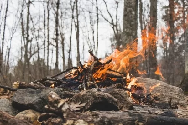 Understanding the Principles of Leave No Trace for Campfires