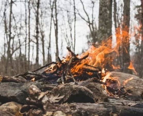 Understanding the Principles of Leave No Trace for Campfires