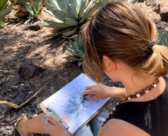 The Benefits of Outdoor Sketching for Nature Connection
