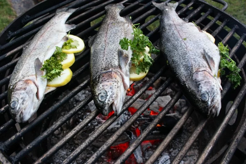 The Best Campfire Fish Dishes with Lemon and Herbs: Outdoor Cooking Tips & Recipes
