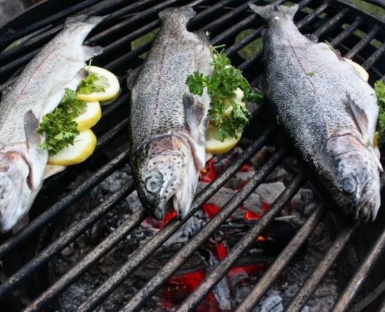 The Best Campfire Fish Dishes with Lemon and Herbs: Outdoor Cooking Tips & Recipes