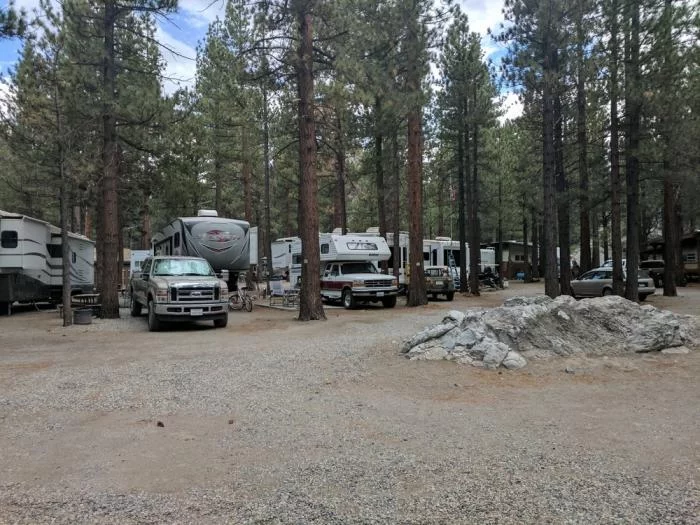 Best Camping Near Pristine Sandy Beaches for Families: Tips and Top Spots