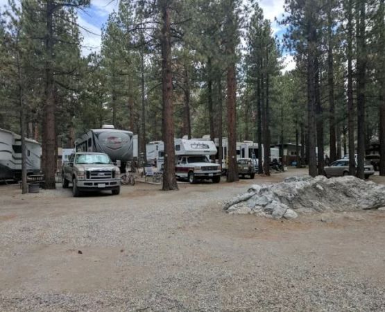 Best Camping Near Pristine Sandy Beaches for Families: Tips and Top Spots