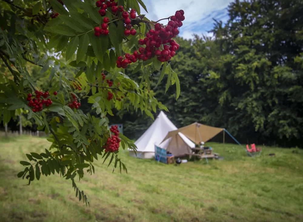 Farm Camping Retreats for Peaceful Countryside Vacations: Embrace Nature and Relaxation