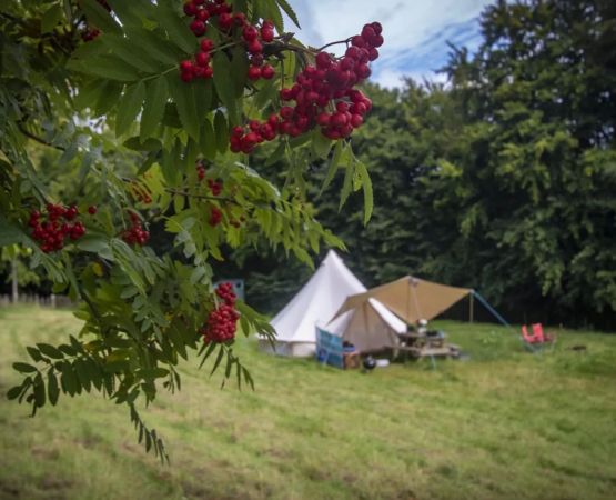 Farm Camping Retreats for Peaceful Countryside Vacations: Embrace Nature and Relaxation