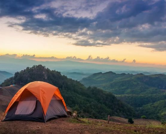 Scenic Nature Walks Near Popular Camping Grounds for Outdoor Enthusiasts