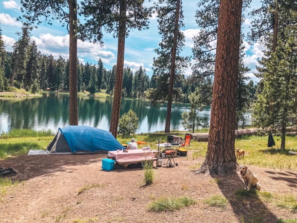 Nature Trails Near Secluded Lake Camping Locations for Serene Outdoor Adventures