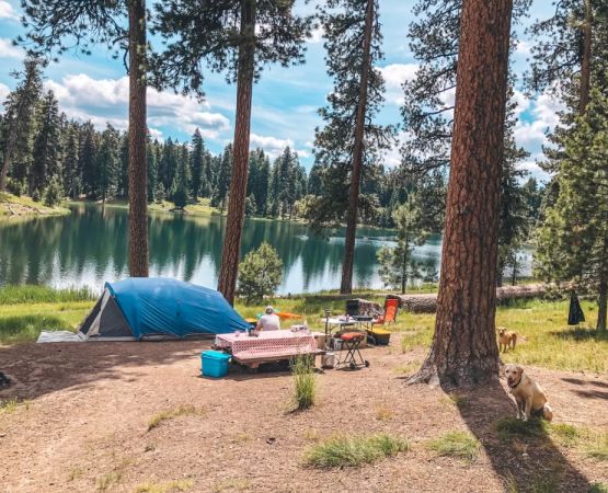 Nature Trails Near Secluded Lake Camping Locations for Serene Outdoor Adventures