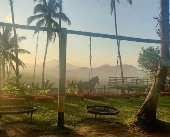 Scenic Farm Camping Sites for Photography and Relaxation – Best Spots to Unwind