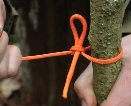 Essential Knots for Setting Up a Tarp Shelter