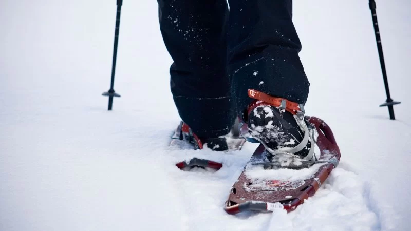 Essential Gear for Winter Hiking with Snowshoes and Gaiters: A Complete Guide