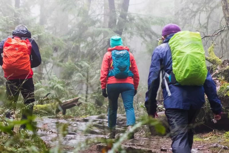 Essential Gear for Backpacking in Rainy Conditions