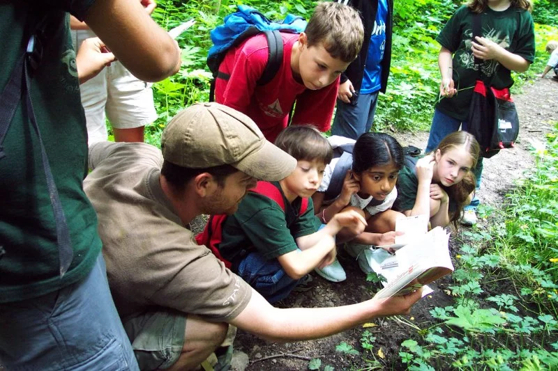 The Benefits of Outdoor Research for Environmental Education