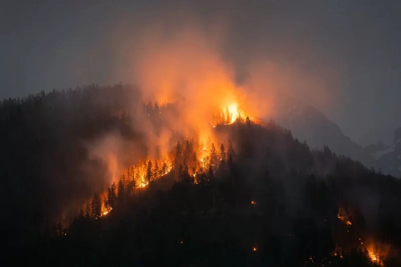 How to Prepare for a Wildfire While Camping | Pine Cliff Resort Guide