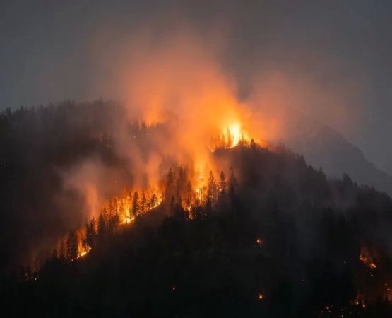How to Prepare for a Wildfire While Camping | Pine Cliff Resort Guide