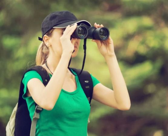 Tips for Finding the Best Campsite for Bird Watching and Photography