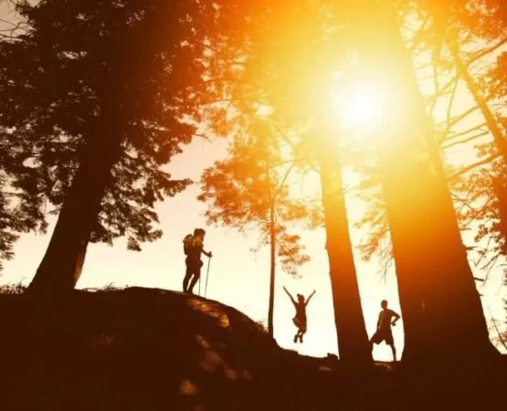 The Benefits of Outdoor Adventure for Stress Relief and Rejuvenation