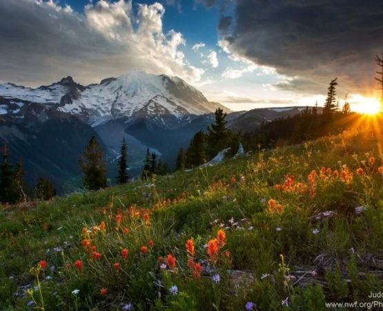 The Benefits of Outdoor Photography for Nature Appreciation