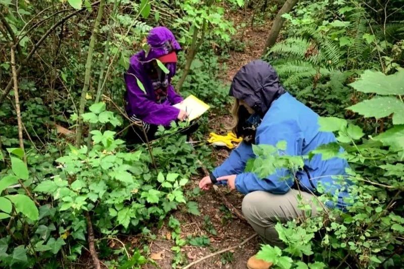 The Benefits of Outdoor Research for Ecological Restoration