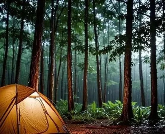 Tips for Finding the Best Campsite for Quiet Time and Relaxation: Top Spots for Peaceful Camping