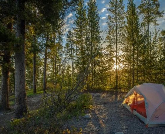 Tips for Finding the Best Campsite for Solitude: Your Guide to Peaceful Outdoor Adventures