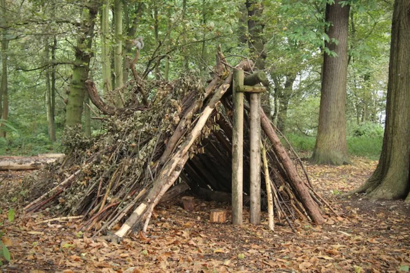 Understanding the Principles of Outdoor Shelter Building – Essential Skills for Survival