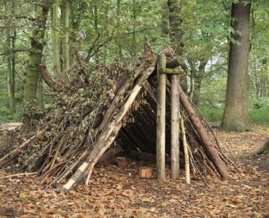 Understanding the Principles of Outdoor Shelter Building – Essential Skills for Survival