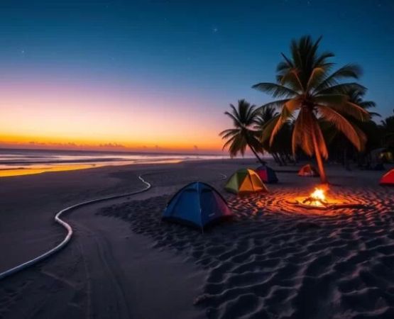 Best Campsites for Stargazing and Constellation Learning: Your Ultimate Guide