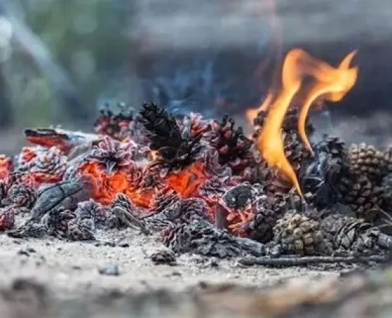 How to Deal with Minor Burns from Campfire Ashes: A Quick Guide
