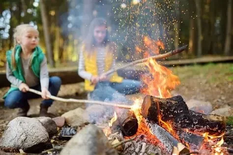 The Best Campfire Snacks for Kids to Enjoy Outdoors