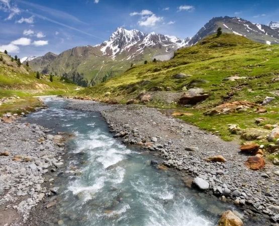 Understanding Water Sources in the Backcountry: Safe Hydration for Wilderness Travel