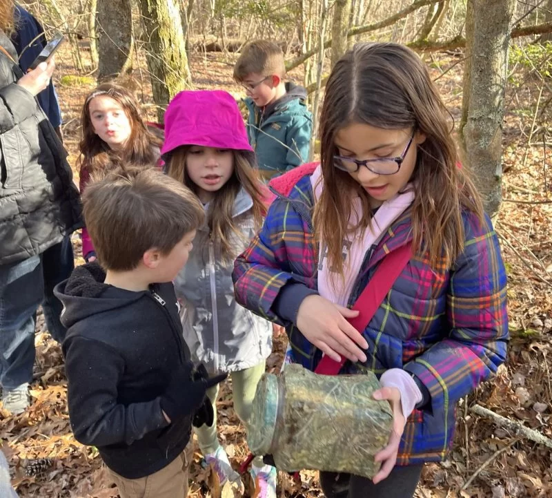 Geocaching Adventures: A Modern Treasure Hunt in Nature