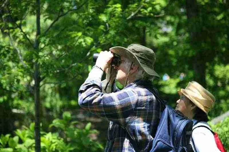Tips for Finding the Best Campsite for Bird Watching in Woodlands