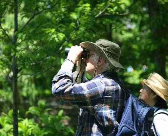 Tips for Finding the Best Campsite for Bird Watching in Woodlands