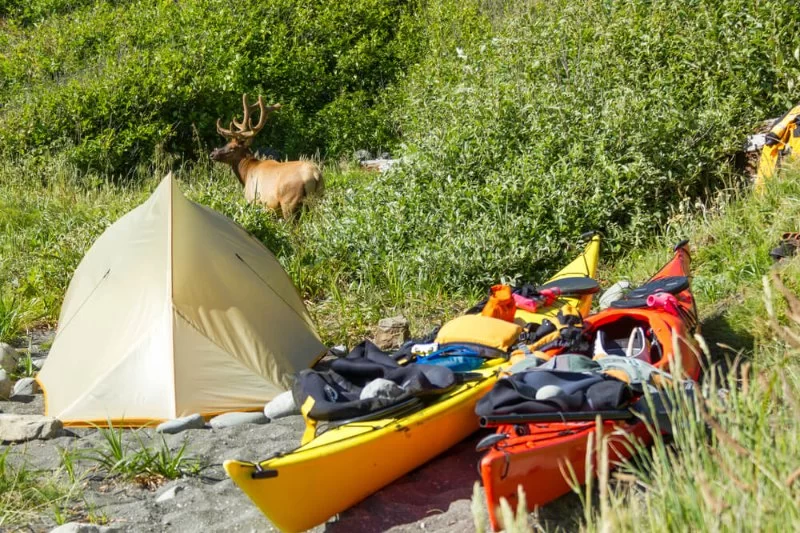 Tips for Finding the Best Campsite for Kayak Camping and Fishing Tours