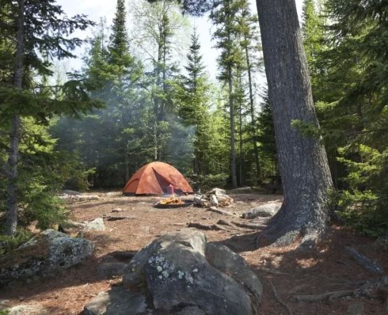 How to Keep Your Food Safe from Animals While Camping