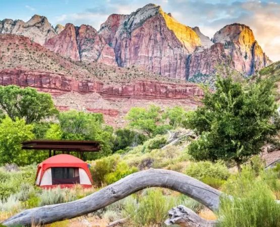 Guide to Choosing National vs State Parks for Your Camping Trip in the USA