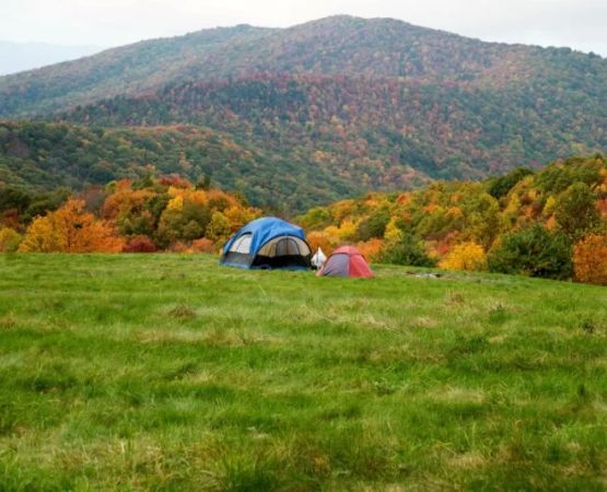 Best Camping Trails Near the Appalachian Mountains in 2025