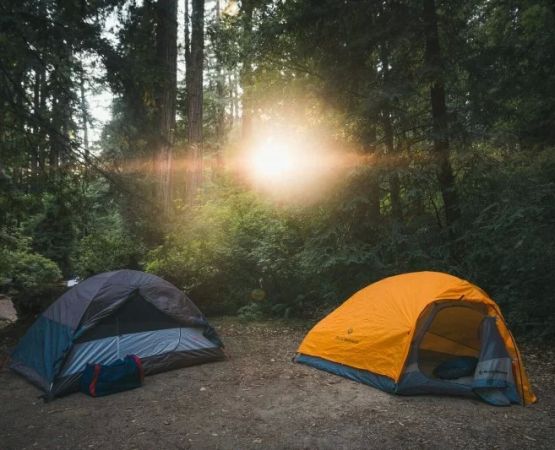 Top Campgrounds in New England Worth a Visit for Every Outdoor Enthusiast