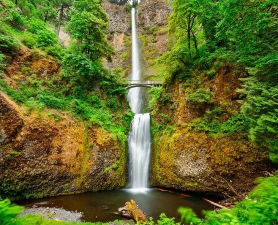 Best U.S. Rainforest & Tropical Coastal Camping Destinations