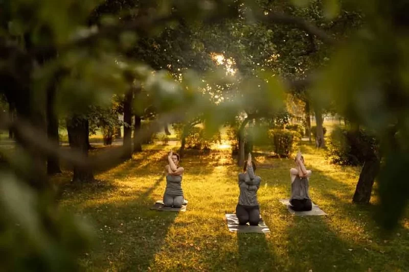 The Benefits of Outdoor Wellness Retreats for Mind and Body