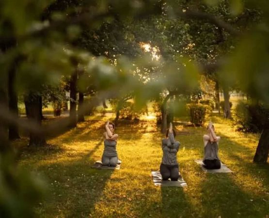 The Benefits of Outdoor Wellness Retreats for Mind and Body