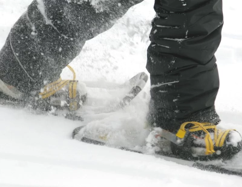 Essential Gear for Snowshoeing and Winter Camping