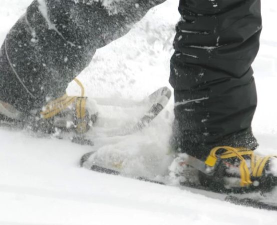Essential Gear for Snowshoeing and Winter Camping