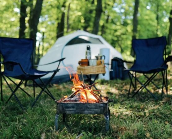 The Best Campfire Snacks for Kids: Fun, Tasty, and Easy Ideas