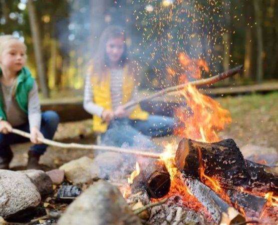 The Best Campfire Snacks for Kids