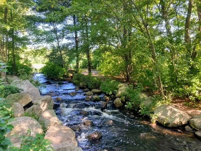 Best National Forest Campgrounds with River Access | Pine Cliff Resort