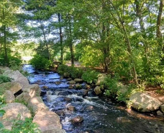 Best National Forest Campgrounds with River Access | Pine Cliff Resort