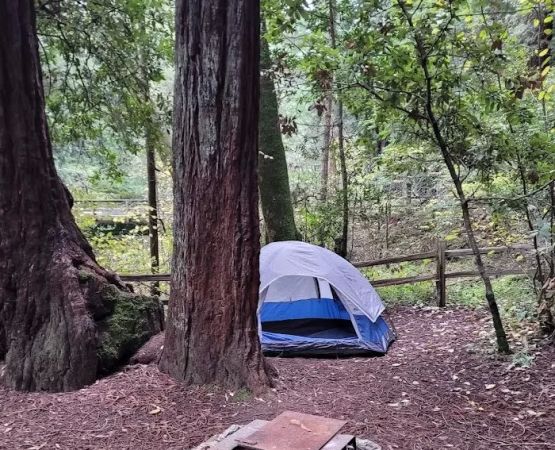 How to Camp Comfortably in High Elevation Areas | Pine Cliff Resort