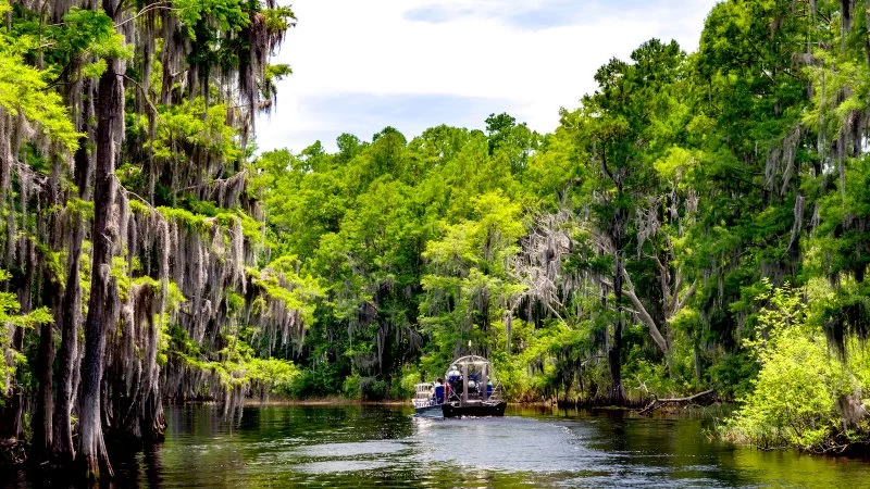 Top Underrated State Parks for Camping in 2025: Hidden Gems to Explore